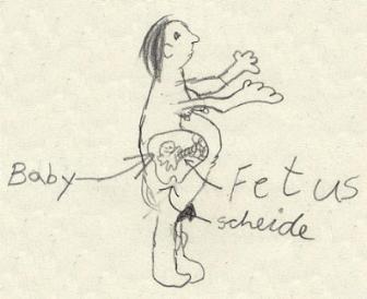 _Baby_Fetus.jpg (12942 Byte)
